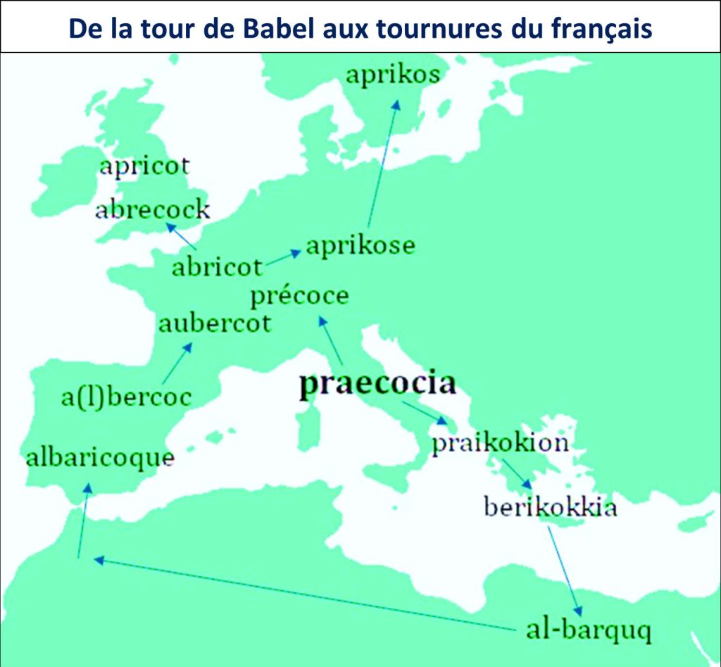 TourdeBabel-1024x947